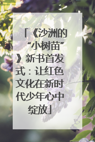 《沙洲的“小树苗”》新书首发式：让红色文化在新时代少年心中绽放