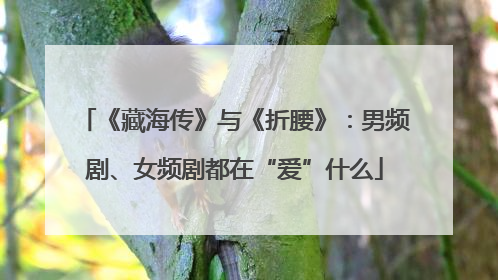 《藏海传》与《折腰》：男频剧、女频剧都在“爱”什么