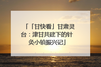 「甘快看」甘肃灵台：津甘共建下的针灸小镇振兴记