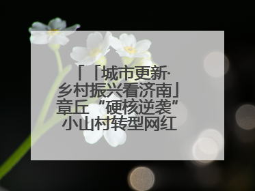 「城市更新· 乡村振兴看济南」章丘“硬核逆袭” 小山村转型网红打卡地