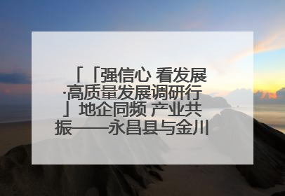 「强信心 看发展·高质量发展调研行」地企同频 产业共振——永昌县与金川集团地企融合推动重大项目建设