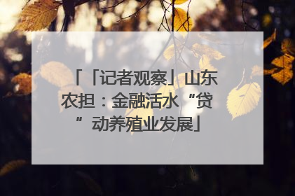 「记者观察」山东农担：金融活水“贷”动养殖业发展