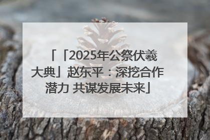 「2025年公祭伏羲大典」赵东平：深挖合作潜力 共谋发展未来