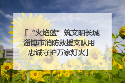 “火焰蓝”筑文明长城 淄博市消防救援支队用忠诚守护万家灯火