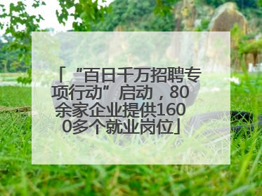 “百日千万招聘专项行动”启动，80余家企业提供1600多个就业岗位
