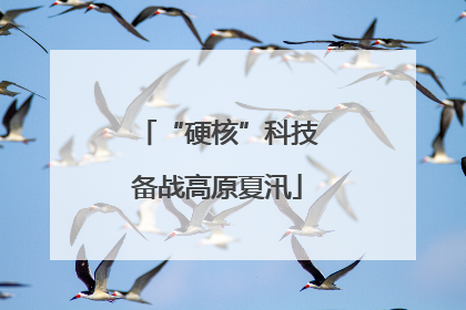 “硬核”科技备战高原夏汛