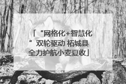 “网格化+智慧化”双轮驱动 柘城县全力护航小麦夏收