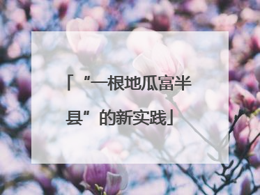 “一根地瓜富半县”的新实践