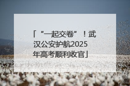“一起交卷”！武汉公安护航2025年高考顺利收官