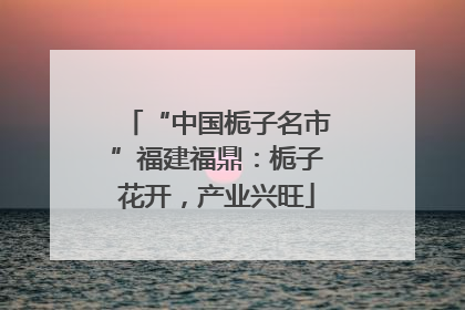“中国栀子名市”福建福鼎：栀子花开，产业兴旺