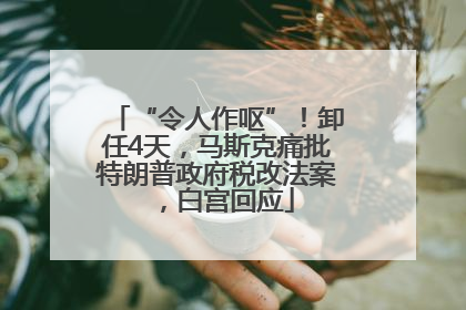 “令人作呕”！卸任4天，马斯克痛批特朗普政府税改法案，白宫回应