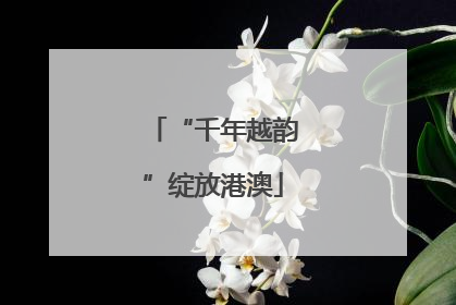 “千年越韵”绽放港澳