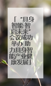 “具身智能·智启未来”会议成功举办 助力具身智能产业健康发展