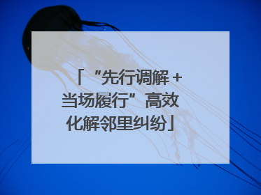 “先行调解＋当场履行”高效化解邻里纠纷