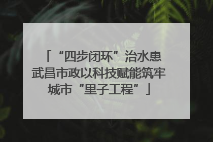 “四步闭环”治水患 武昌市政以科技赋能筑牢城市“里子工程”