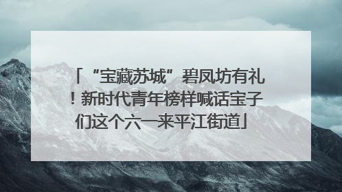 “宝藏苏城”碧凤坊有礼！新时代青年榜样喊话宝子们这个六一来平江街道