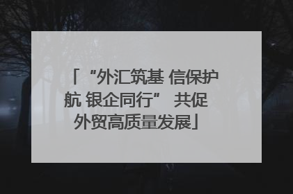 “外汇筑基 信保护航 银企同行” 共促外贸高质量发展