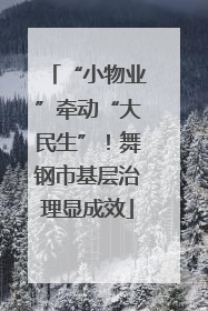 “小物业”牵动“大民生”！舞钢市基层治理显成效
