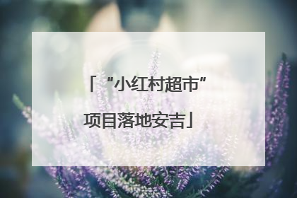 “小红村超市”项目落地安吉