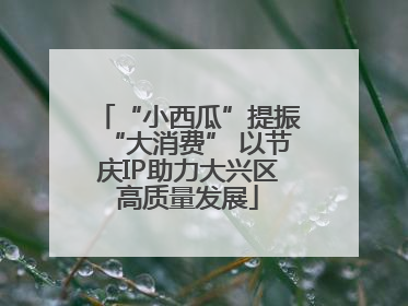 “小西瓜”提振“大消费” 以节庆IP助力大兴区高质量发展