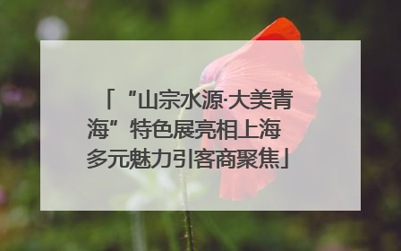 “山宗水源·大美青海”特色展亮相上海 多元魅力引客商聚焦