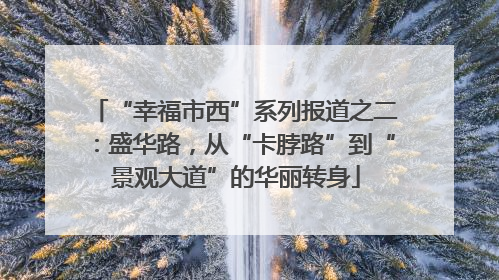“幸福市西”系列报道之二：盛华路，从“卡脖路”到“景观大道”的华丽转身