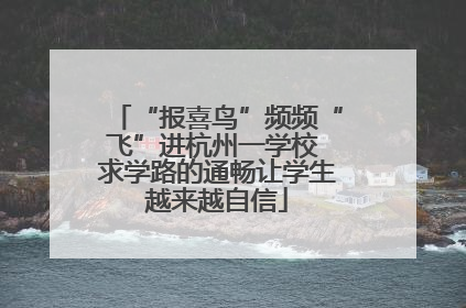 “报喜鸟”频频“飞”进杭州一学校 求学路的通畅让学生越来越自信