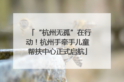 “杭州无孤”在行动！杭州手牵手儿童帮扶中心正式启航