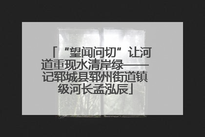 “望闻问切”让河道重现水清岸绿——记郓城县郓州街道镇级河长孟泓辰