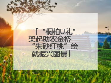 “桐柏U礼”架起助农金桥 “朱砂红桃”绘就振兴图景