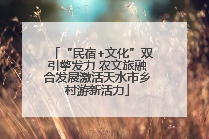 “民宿+文化”双引擎发力 农文旅融合发展激活天水市乡村游新活力
