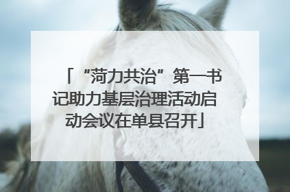 “菏力共治”第一书记助力基层治理活动启动会议在单县召开