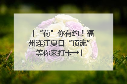“荷”你有约！福州连江夏日“顶流”等你来打卡→