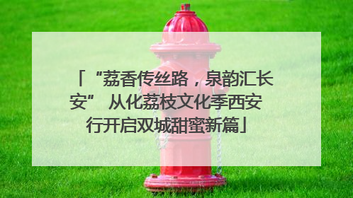 “荔香传丝路，泉韵汇长安” 从化荔枝文化季西安行开启双城甜蜜新篇
