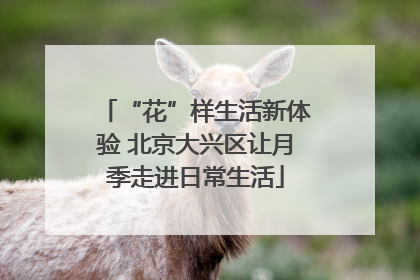 “花”样生活新体验 北京大兴区让月季走进日常生活