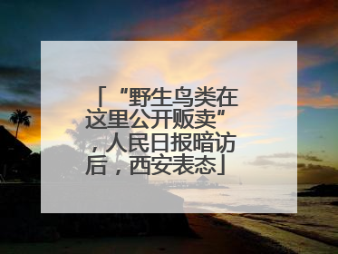 “野生鸟类在这里公开贩卖”，人民日报暗访后，西安表态