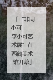 “非同小可——李小可艺术展”在西藏美术馆开幕