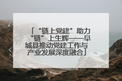 “链上党建”助力“链”上生辉——阜城县推动党建工作与产业发展深度融合