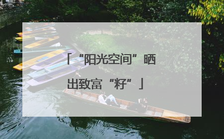“阳光空间”晒出致富“籽”