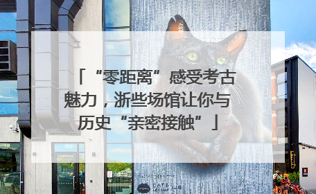 “零距离”感受考古魅力，浙些场馆让你与历史“亲密接触”