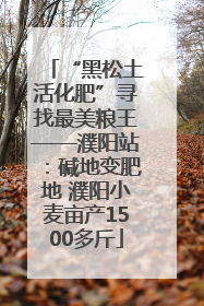 “黑松土活化肥”寻找最美粮王——濮阳站：碱地变肥地 濮阳小麦亩产1500多斤