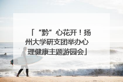 “黔”心花开！扬州大学研支团举办心理健康主题游园会
