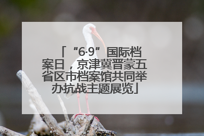 “6·9”国际档案日，京津冀晋蒙五省区市档案馆共同举办抗战主题展览