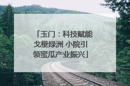 玉门：科技赋能戈壁绿洲 小院引领蜜瓜产业振兴