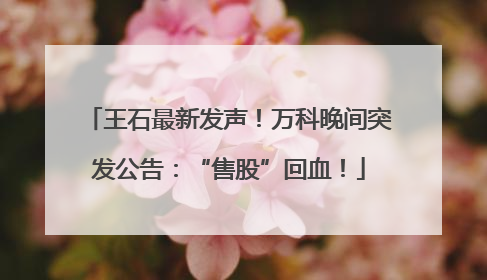 王石最新发声！万科晚间突发公告：“售股”回血！