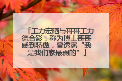 王力宏晒与哥哥王力德合影，称为博士哥哥感到骄傲，曾透露“我是我们家最弱的”