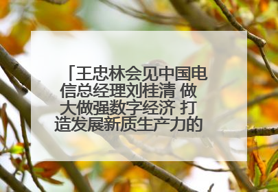 王忠林会见中国电信总经理刘桂清 做大做强数字经济 打造发展新质生产力的强劲引擎