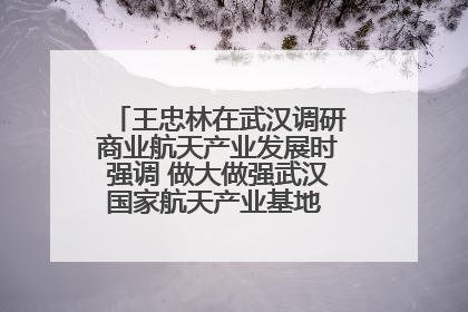 王忠林在武汉调研商业航天产业发展时强调 做大做强武汉国家航天产业基地 打造具有全国影响力的“中国星谷”