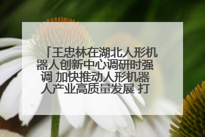 王忠林在湖北人形机器人创新中心调研时强调 加快推动人形机器人产业高质量发展 打造具有全国影响力的研发创新基地