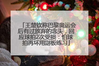 王楚钦称巴黎奥运会后有过放弃的念头，回应球拍2次受损：怕球拍再坏用副板练习
